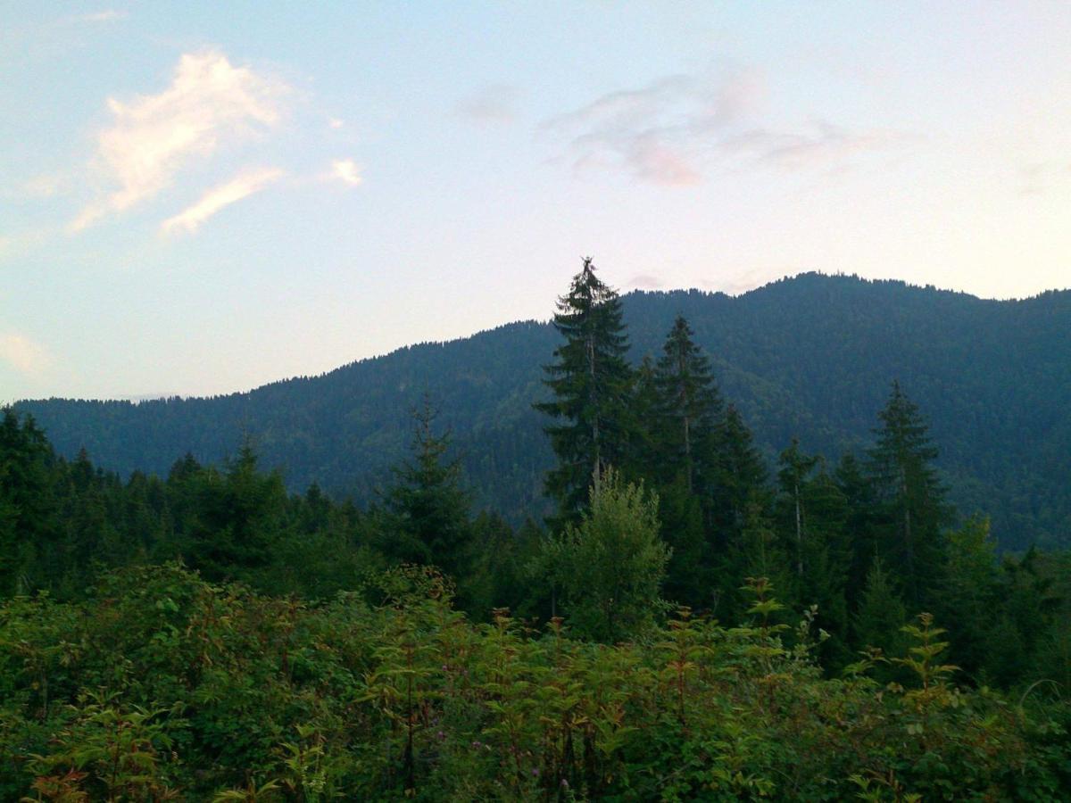 Mountain Resort Gantiadi Borjomi Εξωτερικό φωτογραφία