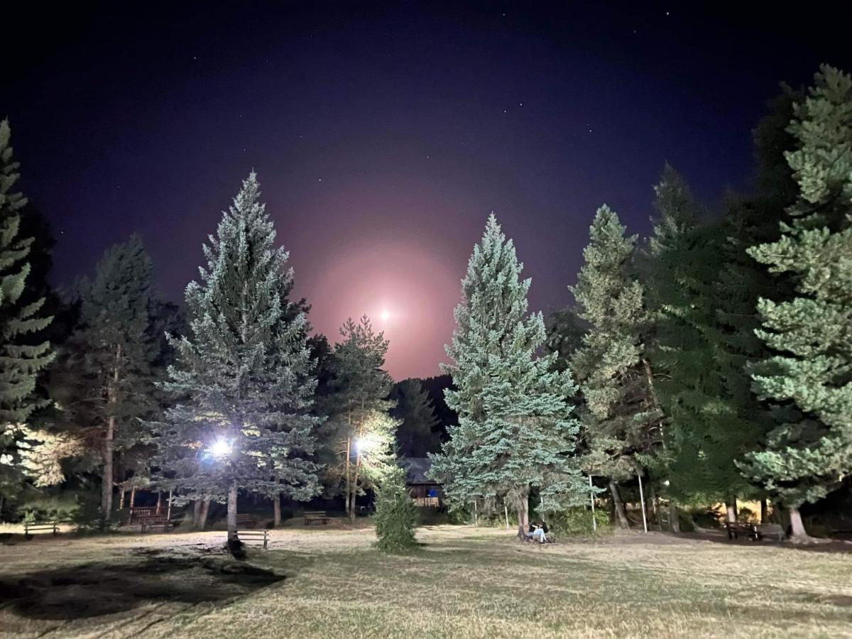 Mountain Resort Gantiadi Borjomi Εξωτερικό φωτογραφία
