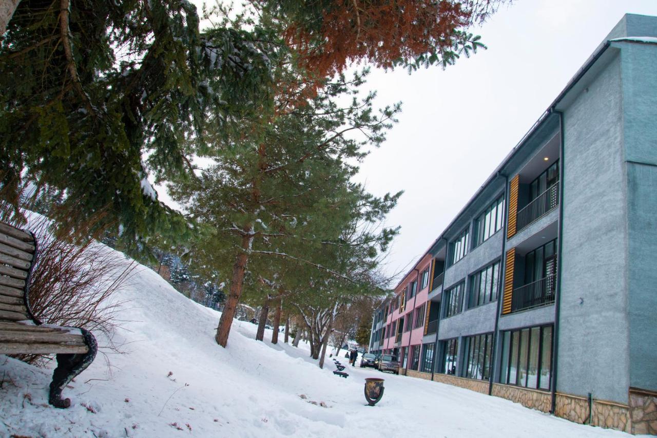 Mountain Resort Gantiadi Borjomi Εξωτερικό φωτογραφία